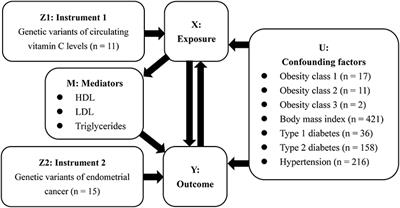 Plasma Circulating Vitamin C Levels and Risk of Endometrial Cancer: A Bi-Directional Mendelian Randomization Analysis